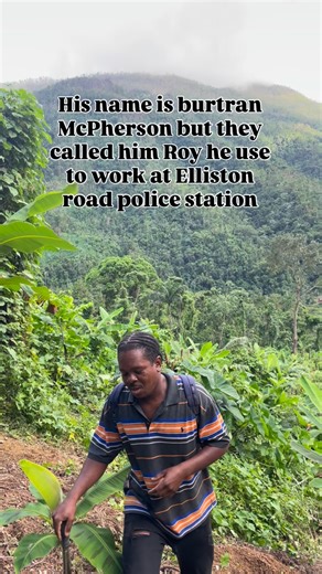 Venomhype Rebellion on Instagram: "His name is burtran McPherson they use to call him Roy he use to work at Elliston Rd police he has a cousin name Kenneth Thompson that was a detective they come from st Elizabeth 🇯🇲 #jamaica #viral #trending #reels #farm"