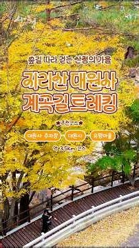 가을, 산청 걷기여행 추천 #산청 #산청여행 #트레킹 #걷기여행 #shorts