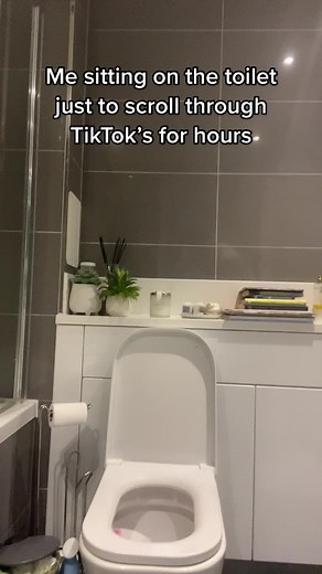 Toilet TikTok Chair: A Relatable Meme