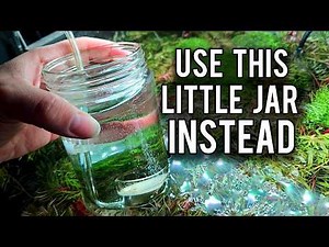 Stop Doing THIS To Your Aquarium Before It’s Too Late