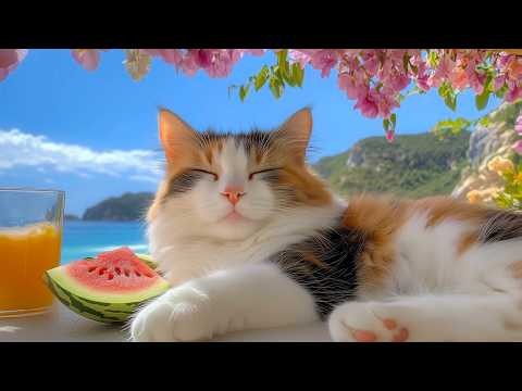 12 Hours Of Cat TV 🐈 Comfort Music for Cats 🎵 Quiet Relaxation Peaceful Sleep Support