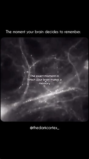 The Dark Cortex | Psychology & Brain Science on Instagram: "Every memory you carry started as a spark like this. When neurons fire together, they wire together. That single moment of attention, emotion, or meaning is enough for your brain to change its structure.This is how experiences become memory.How moments become identity.How your past quietly shapes who you are. Your brain is recording more than you realize. Follow @thedarkcortex_ to understand what your mind is really doing. [neuroscience