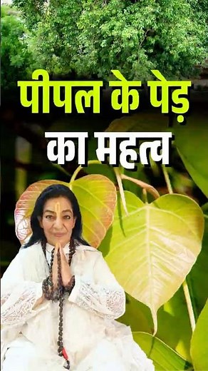 पीपल के पेड़ का दिव्य महत्व 🌿 | The Sacred Significance of Peepal Tree | Premmayi Gurumaa