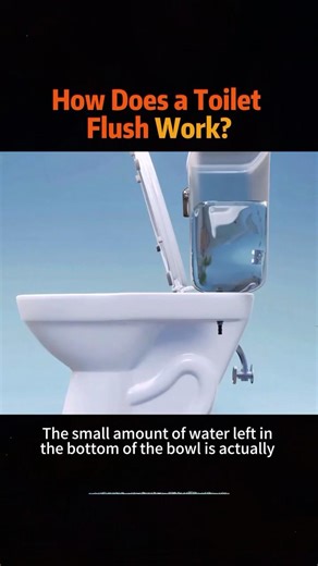How Does a Toilet Flush Work? #knowledge #usa #science
