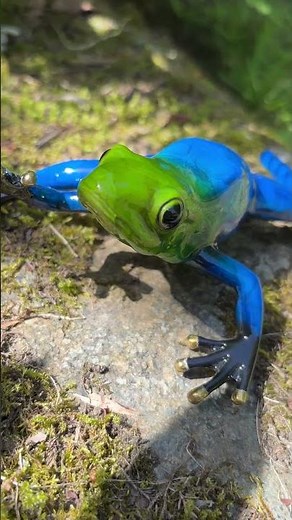 Exotic Tree Frog Bronze Sculpture Blue MI 73 Avant Garden Bronzes