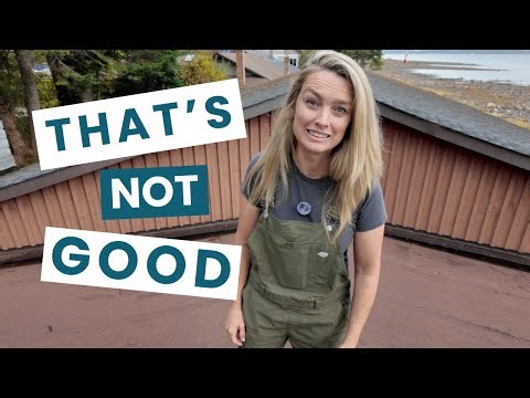 Tackling Small Projects While Facing Big Problems in Our Dream Home