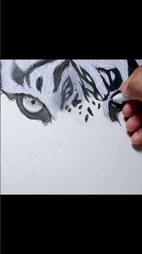 Tiger Sketch Part 3 | Realistic Tiger Drawing Step by Step | Shading & Detailing Tutorial 🐅✨