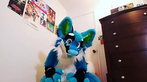 #furry #furryfandom #fursuit #fursuiter #fursuiting