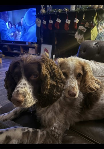 HIT THAT! Follow button, the very best industrial home bars and furnishings #crafttok #homedecor #homebar