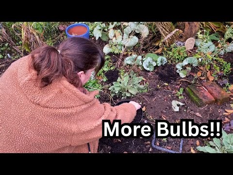 Bulb Surprise! Planting My Mystery Old Bulbs 🌷🌼 Digging Up a Dahlia Tuber to Overwinter
