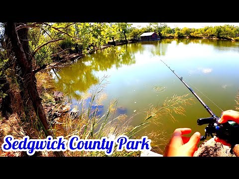 Fishing the Most PRESSURED Ponds in Wichita (Sedgwick County Park)