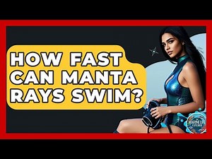 How Fast Can Manta Rays Swim? - The Marine Life Explorer