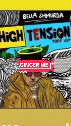 Bella Shmurda - Ginger Me Lyrics Video