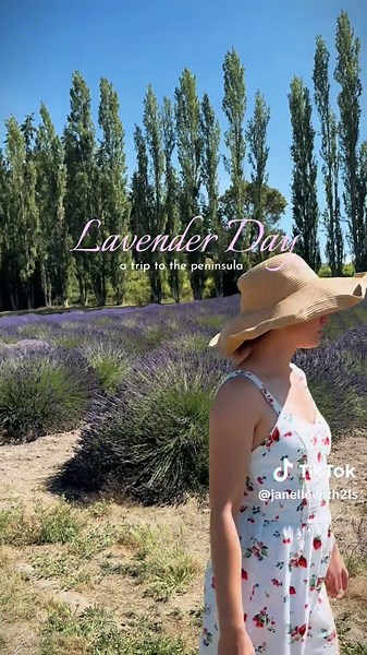 Experience Sequim's Lavender Day Before the Crowds