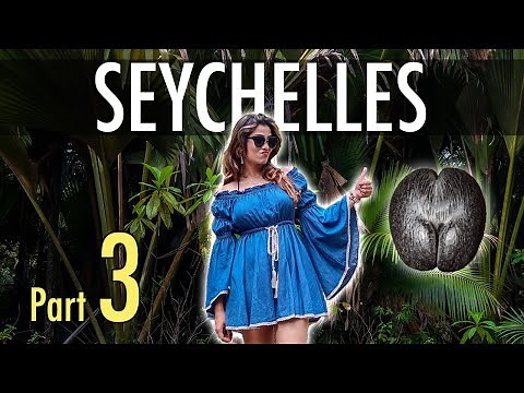 The Forbidden Fruit - Seychelles Part 3 - Praslin Island - Savvy Fernweh