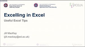 Excelling in Excel: Tips and Tricks