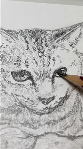 キジトラ猫 お絵描きチャレンジ【鉛筆デッサン】 #イラストメイキング #pencildrawing #drawing #art