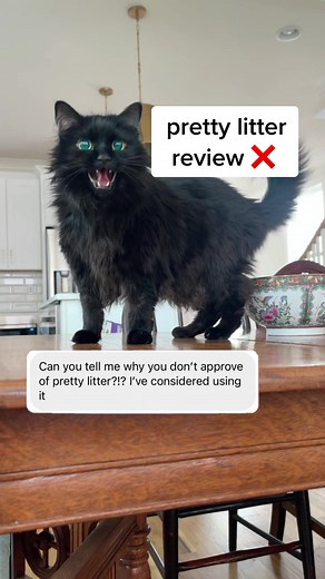 I tried Pretty Litter for 30 days so you don't have to😬 For context, I'm not totally new to the brand. I tried Pretty Litter in 2020 as a way to monitor Cappy's tinkles. This was around the time my vet recommended ordering urinalysis test strips online. A test strip indicator was much easier for my interpretation & peace of mind so we stopped using Pretty Litter. I wasn't a fan of the subscription service, but now it's at Target so I picked up a bag for LeLe. Quick highlights from LeLe's 30 day