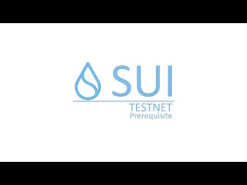 SUI Full Node Installation In Just 2 Minutes !!!