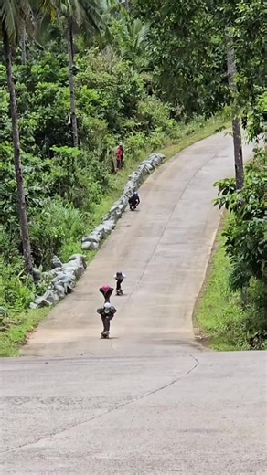 Bubabang: Epic Downhill Skateboarding Fails Compilation