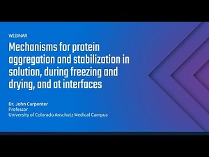 Mechanisms for protein aggregation and stabilization