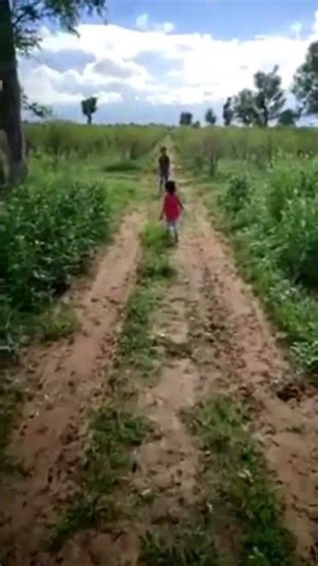 Teri Mitti Me Mil Java