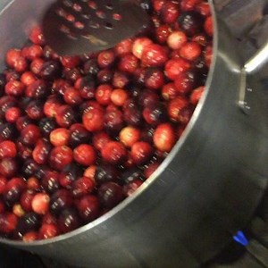 1.3K views · 92 reactions | Cooking Amaranth, blueberry Wojape, Rosehips, Fresh Cranberries... #siouxchef #indigenousfood #dakotafoods #ojibwefoods #thesiouxchef | The Sioux Chef | Facebook