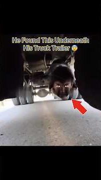 He Found This Underneath His Truck Trailer 😰 #creepy
