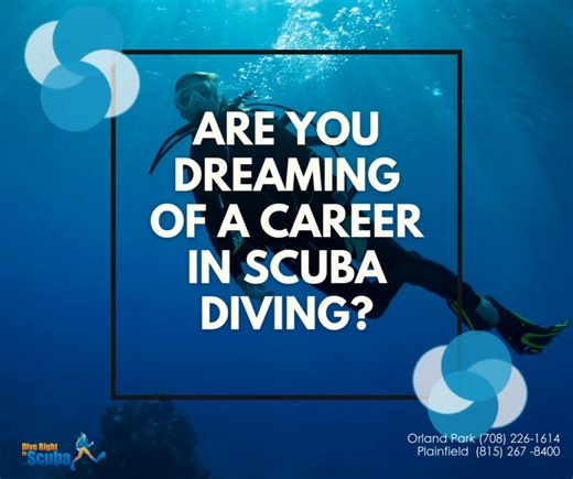 Turn your passion for diving into a professional career! 🤿🐠 We offer courses to help you become a certified PADI or SDI - Scuba Diving International Divemaster, Instructor, or even Course Director. Learn from experienced instructors who are passionate about mentoring new dive pros. 📚✨ 📅 Curious about taking the next step? Stay tuned for upcoming info sessions and opportunities to start your professional dive journey! 🚀 Questions? Call us today! 📞 Orland Park (708) 226-1614 📞 Plainfield (8