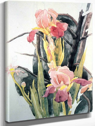 Flowers Irises By Charles Demuth