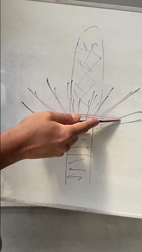 [Pruning Buds] Where to Cut? Illustrated Explanation for Beginners