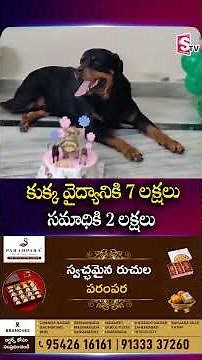 కుక్క వైద్యానికి 7 లక్షలు | 7 lakhs for dog treatment | Family Emotional | SumanTV Vali | @SumanTv