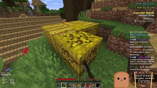 Sometimes I wish I was a piglin with a baby hoglin pet, also i bought YT premium so my music works