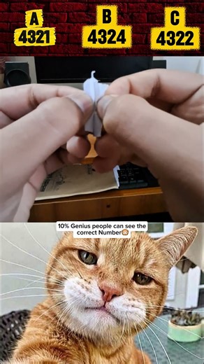 only legend can see secret number ☠️ #shorts #cat #bombastic