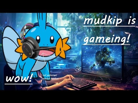 mudkips pro strats on retro rewind (mkwii)