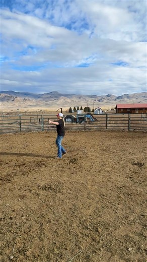 Waylon working a little bit in round pin #Waylon #lunging | Sawtooth Pines