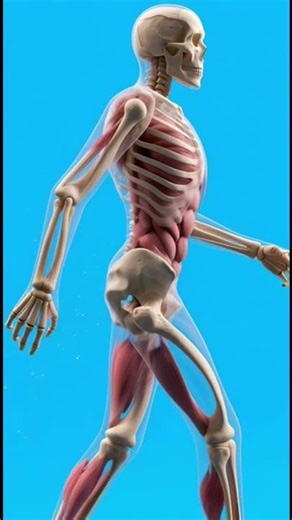 What Happens If You Walk 10,000 Steps Every Day? #exercise #exercisemotivation