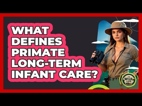 What Defines Primate Long-Term Infant Care?