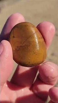 Funky Fossils & Tube Fossil Fall Hunt #Rockhounding #LakeSuperiorRocks