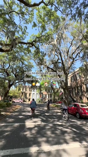 8.3K views · 6.2K reactions | You’re not sad, you just need to book a trip to Savannah 﫶 | Visit Savannah | Facebook