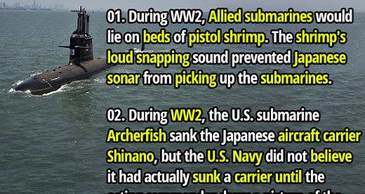 Dive Deep: 50 Incredible Facts About Submarines - Fact Republic