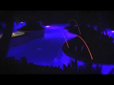 MagicStream® Laminars by Pentair