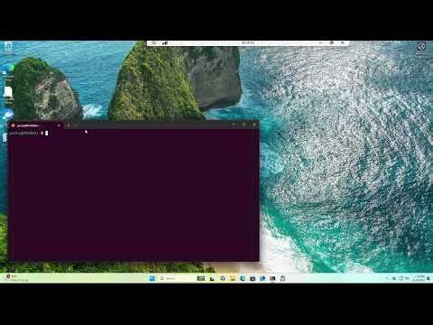 BlockDAG Investors WINDOWS WSL node Install