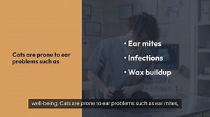 Cat Ear Care Techniques
