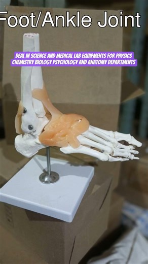 Deal in Science and medical lab equipments for physics chemistry biology psychology and anatomy lab