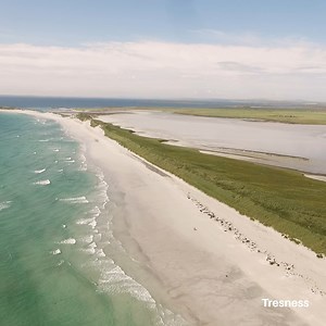 4.9K views · 390 reactions | Are you planning a trip to the beach in Orkney this summer?  Sanday's beaches are amongst the best we have here, but there are plenty of others to explore too. Find your space on an Orkney beach ➡ orkney.com/news/space-beaches  | orkney.com | Facebook