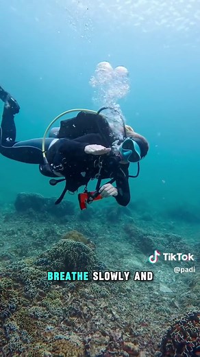 Mastering Buoyancy for Confident Diving