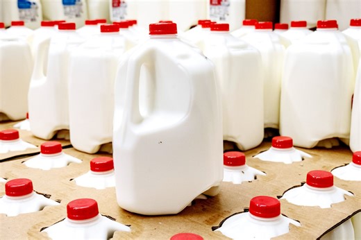 Should You Be Eating Full-Fat Dairy? Experts Break Down the New USDA Dietary Guidelines