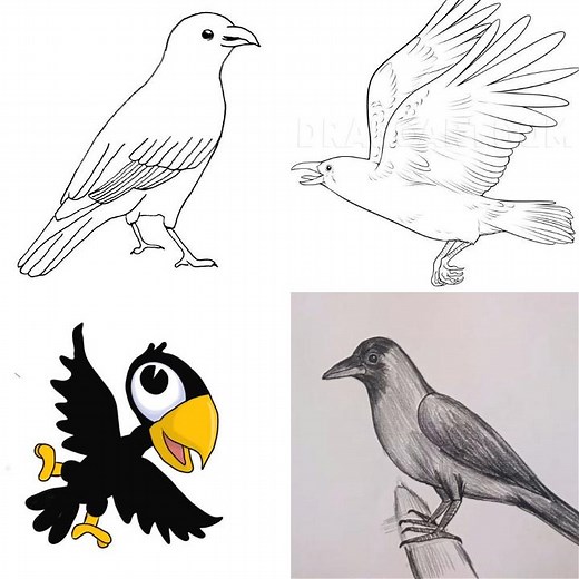 20 Easy Crow Drawing Ideas - How To Draw Crow