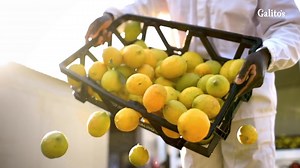 2.8K views · 59 reactions | Ready to fly into the weekend?  Grab 8 Winglets + Chips for only E69.90. Visit your nearest outlet or call 7808 1110 to place an order. #GalitosEswatini #BoldAfricanFlavour #GaliWinglets | Galito's Eswatini | Facebook